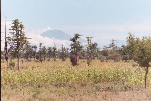 48_Volcano_JAVA