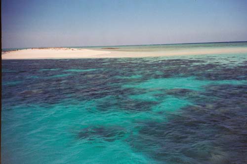 63_GreatBarrierReef