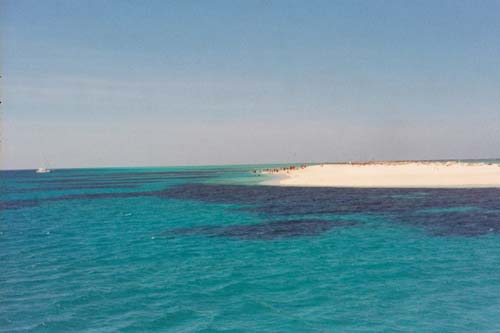 64_SandIsland_GreatBarrierReef