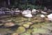 69_MossmanGorge_AUS