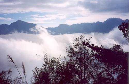 41_NovDec2002