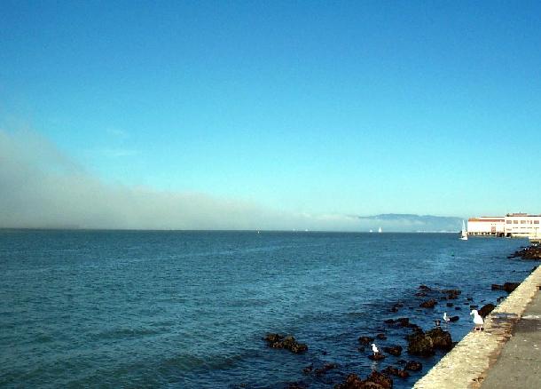 Coming Out Of The Fog