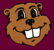University Of Minnesota Golden Gopher Sports