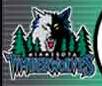 Minnesota Timberwolves