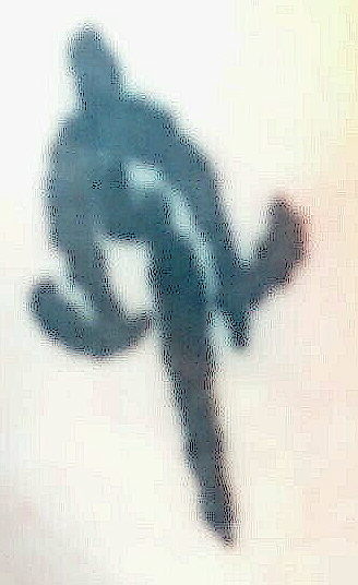 Bottom Left Wrist Tattoo - Black Furies Symbol
