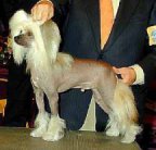 barney.jpg (6946 bytes)