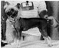susannah.jpg (4706 bytes)