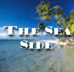 Take a trip to the sea and find a critter that you like!