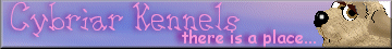 cylbriarBanner.gif (11400 bytes)