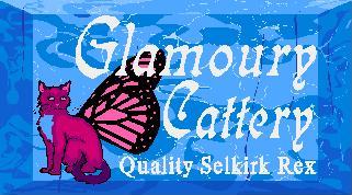 Showcasing our Beautiful Cats