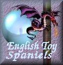 Click Here to Visit our Wonderful Adult English Toy Spaniels!