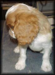 Here I am as a baby...