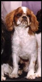 And here I am as a young lady!