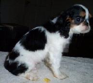 Awww, I don't wanna take pictures; I wanna play!