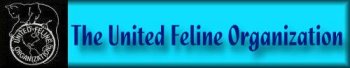 Click HERE to Visit the United Feline Organization!