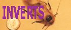Invertebrates