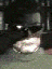 John Dread 1