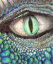 My dragons