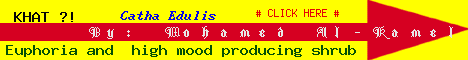 Link to Mohamed Alkamel page about Khat, Kat or Qat (Catha edulis)!?