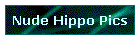 Nude Hippo Pics
