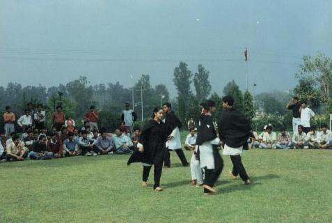 dtd1.jpg (24585 bytes)