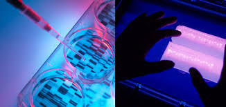 Molecular Genetics