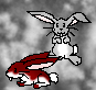 Bunnys
