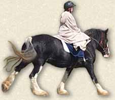 Dravon on her Horse Dee at a nice working walk
