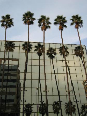 hollywood_sml.JPG(5410 bytes)