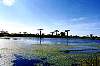 morondava3.jpg
