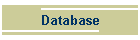 Database
