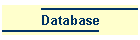 Database
