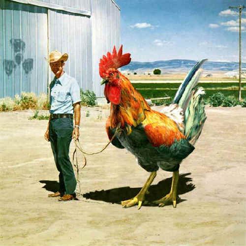 ~CLICK ON ME AND MY BIG COCK TO ENTER~