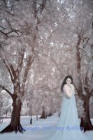 Winter-- Photo Composite