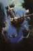 borisvallejo1_small.jpg
