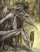 brianfroud_1_small.jpg