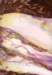 helennelsonreedsomnus_small.jpg