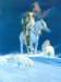 hermonadamsthe_wolves_of_winter_small.jpg