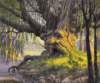 hilderbrandtold_man_willow_small.jpg