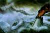 johnhowe1_small.jpg