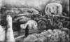 johnjacobsenthe_watching_rocks_small.jpg