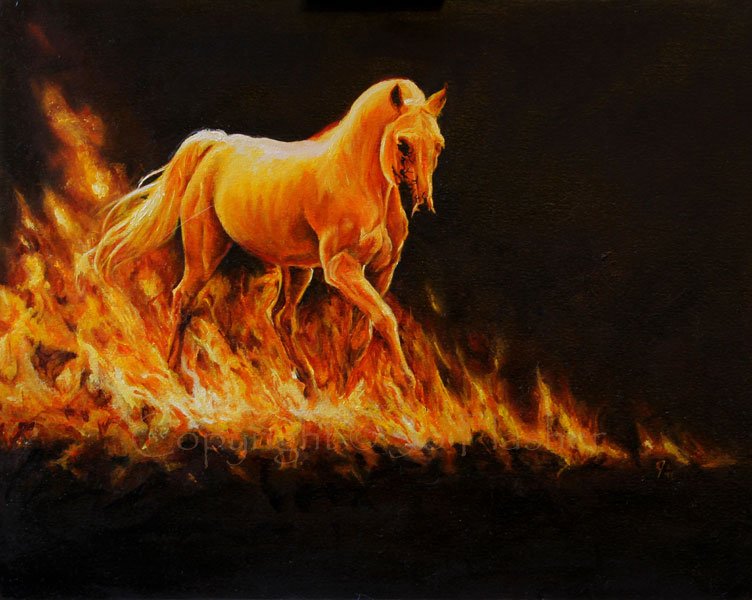 joleenflasherfirestorm.jpg