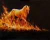 joleenflasherfirestorm_small.jpg