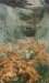 leonfredericthe_lake_dormant_waters_small.jpg
