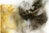 luisroyo_1_small.jpg