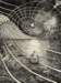 lynnrandolphnavigatingaseaofconsciousness_small.jpg