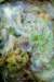 mahmoudfarshchianheavenly_attraction_small.jpg