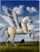 rafalolbinskiwhitehorse_small.jpg