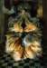 remediosvarostar_catchers_small.jpg
