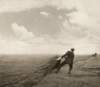 robertshana_parkeharrisonreclamation_small.jpg